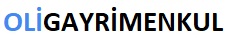 OLİGAYRİMENKUL